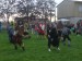 P1010139.JPG